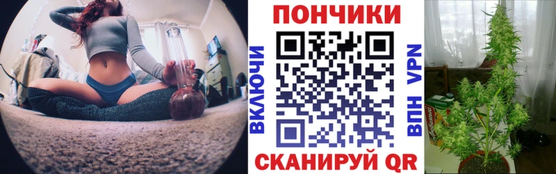 Купить наркотик Куртамыш COCAIN СК АМФЕТАМИН Конопля