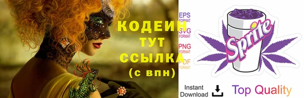 соль ск Нея