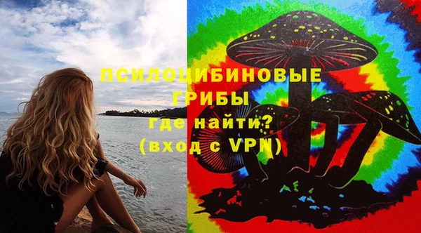 твердый Новокубанск