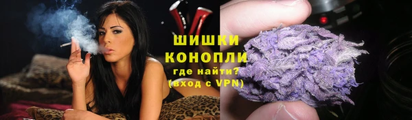 соль ск Нея