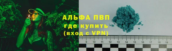 ПСИЛОЦИБИНОВЫЕ ГРИБЫ Вязьма