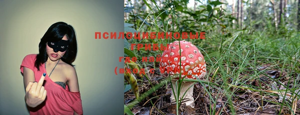 соль ск Нея