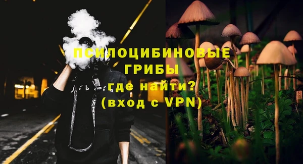 стафф Нефтегорск